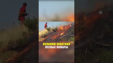 Продолжаются работы по борьбе с лесными пожарами в испанском регионе Леон