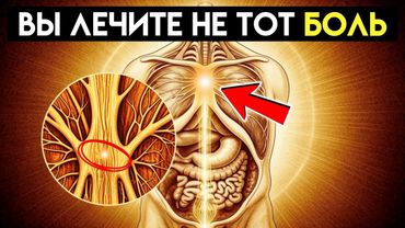 12 миофасциальных меридианов — почему ваша боль не там, где вы думаете