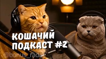 КОШАЧИЙ ПОДКАСТ #2 | Владельцем котов не смотреть!!!!