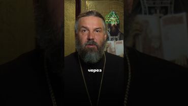 Без любви не растут ни дети, ни картошка. Протоиерей Евгений Попиченко