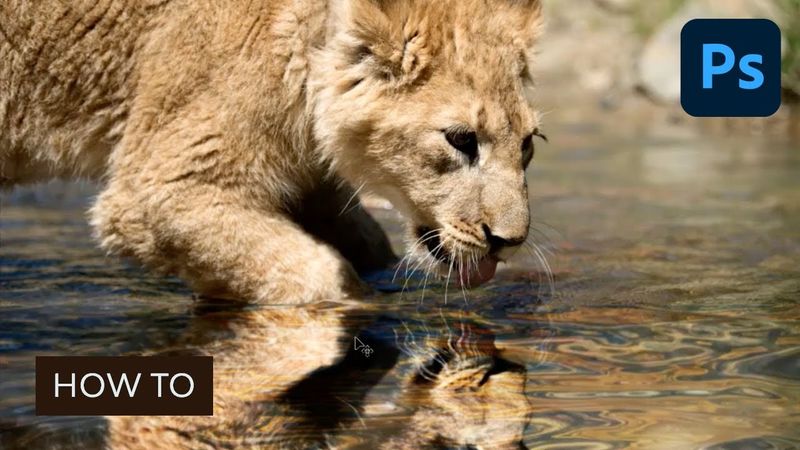 How to Mirror an Image in Photoshop