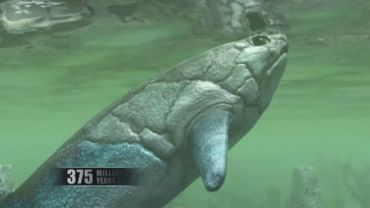 Одам яралиши. Эволюция