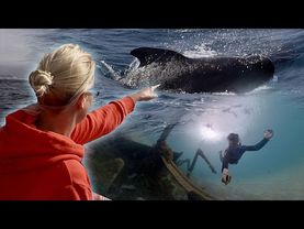 How Atlantic islands are proving tourism can help the ocean