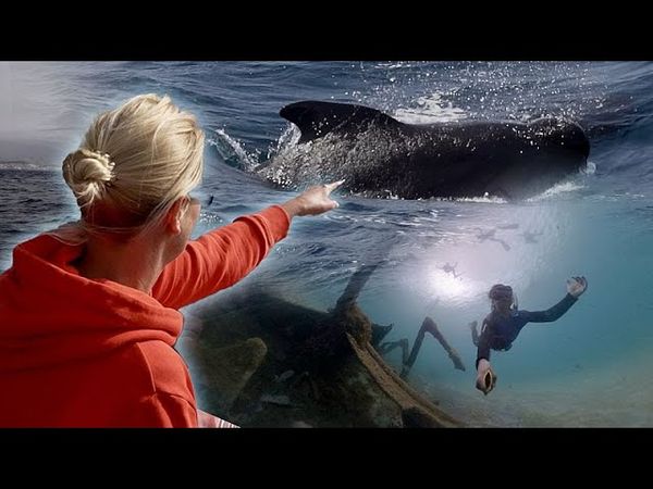 How Atlantic islands are proving tourism can help the ocean