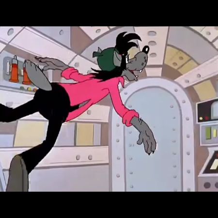 #zёбра #нупогодиволк #нупогоди #мой #землявилюминаторе #землявилюминв...