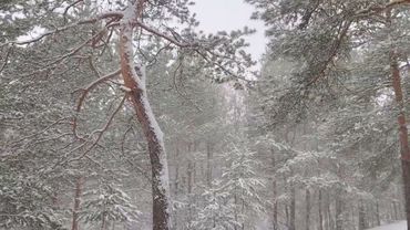 Почему стоит поехать в Москву на заработки