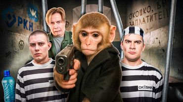 БЛОГЕРСКОЕ РАБСТВО / ЗАГОВОР РЕКЛАМНЫХ АГЕНТСТВ (feat. Майзенберг, ИнсайдерКэм)