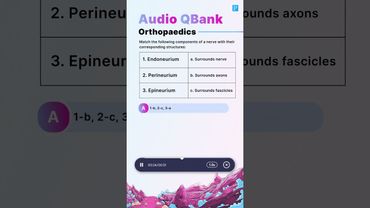 A Glimpse Of Orthopedics Audio QBank