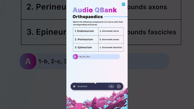 A Glimpse Of Orthopedics Audio QBank
