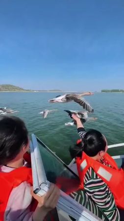 TikTok video #7506879809893453078