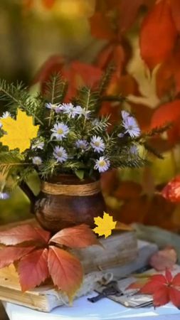 Доброе утро!