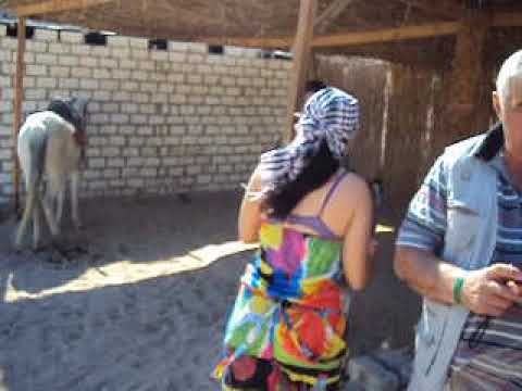 на осле в горах!