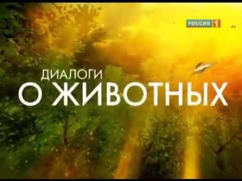 Заставка программы "Диалоги о животных" (Россия 1, 2011)