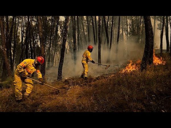 Portugese landowners face fines as wildfire inspections begin