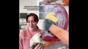 This is so funny, I couldn't stop laughing #funny#dodder softiktok #funnyvideos#duet