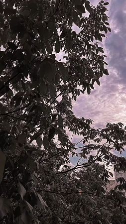 Одно из знамений конца света 