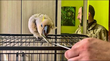 Кирюша НАСТОЯЩАЯ ДЕВОЧКА! Как только увидела БЛЕСТЯЩУЮ ложечку сразу ее захотела!