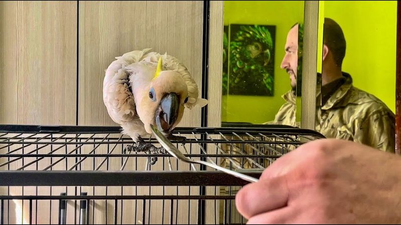 Кирюша НАСТОЯЩАЯ ДЕВОЧКА! Как только увидела БЛЕСТЯЩУЮ ложечку сразу ее захотела!