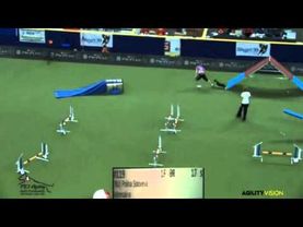 Agility Small POLINA SOLOVEVA Adrenalina WC 2012