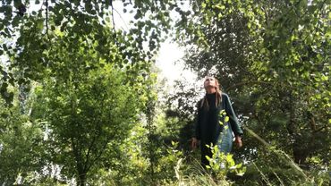 11 минут КРЫЛЬЯ СЕРДЦА | Волновая Йога