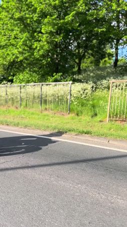 TikTok video #7501415508890127639