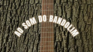 A música ao som do Bandolim | Música
