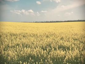 треки в тгк:idkidksc #cardinparis #целуйменя #soundcloud #lyrics #son...