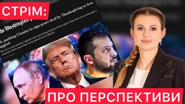 Миндичгейт, смена власти и мирный план: разговор с Анной Скороход