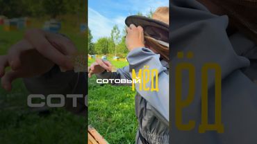 Враг пчел #пасека #карелия #мед #восковаямоль