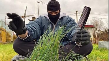 ASMR | Cutting Grass with Scissors