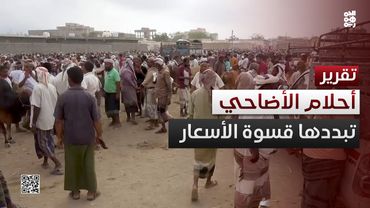 عيد الأضحى في اليمن.. أحلام الأضاحي تبددها قسوة الأسعار