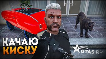 КАЧАЕМ КИСКУ ДЛЯ ОХОТЫ (65%). промо TOPOL #СНУЛЯ