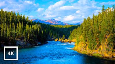 4K Yellowstone Mountain River Ambience | Relaxing Nature Sounds for Sleep & Study
