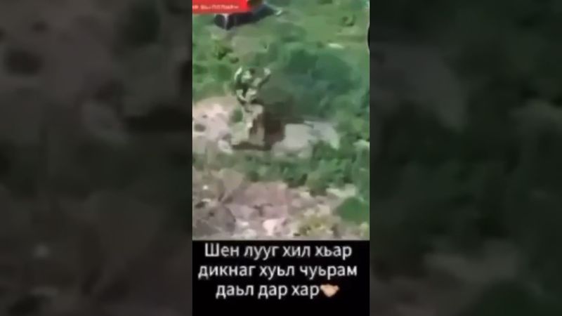 Станцевал Лезгинку на вражеский Дрон #жизнькавказа #кавказ #герои