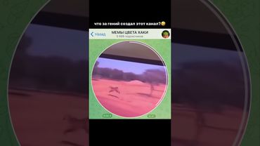 Тгк: hakimeme #мемы #прикол #кружок #мем #приколы #юмор #смешно