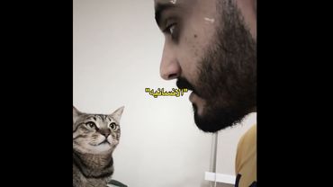 #اديت #اكسبلور #ايقنت #لايك #اقنباسات #تصميمي #ادتات #cat #ترند #ادت