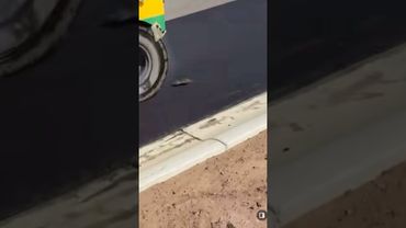 ⛔️ Flat Mickey: A Tail of Bad Timing 🐭🚜 WARNING⛔️ It does avoid a bird but it doesn't end well ☠️