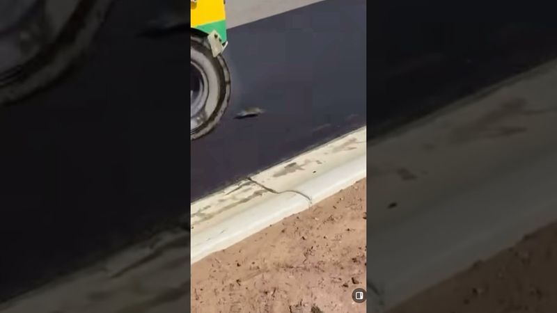 ⛔️ Flat Mickey: A Tail of Bad Timing 🐭🚜 WARNING⛔️ It does avoid a bird but it doesn't end well ☠️