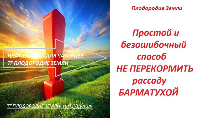 Осторожно! Обыкновенный перекорм! Простой метод не допустить перекорм барматухой №10/25