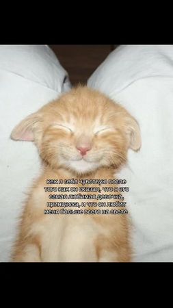 #рекомендации #fyp #хочуврек #д#репост #реккк 