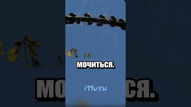 Вот и думайте дождь это или нет