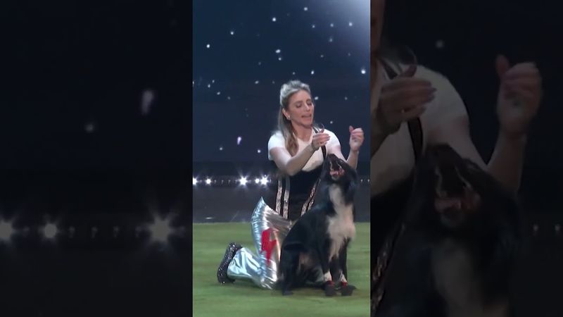 Cutest Dog Ever 😍 #talentreplay #short #agt