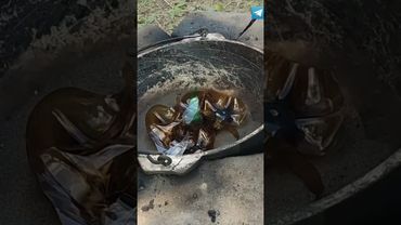 Плитка для садовой дорожки своими руками из ПЭТ бутылок