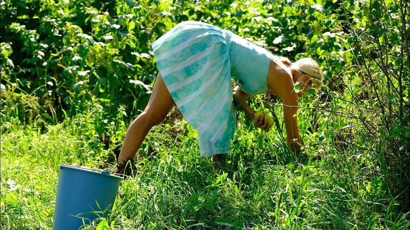 A Warm Autumn Day in the Village | Cooking Pear Jam, Coffee Outdoors & Feeding the Chickens