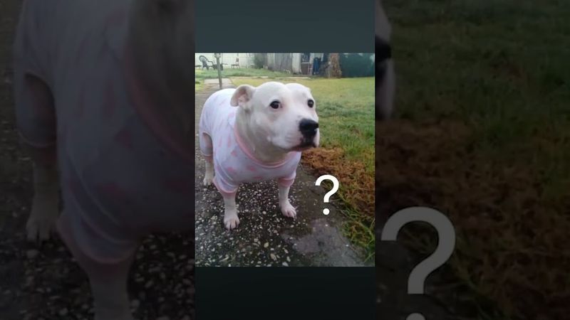 ТРОГАТЕЛЬНЫЙ МОМЕНТ В КС