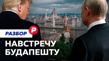Новая попытка: чего ожидать от переговоров Путина и Трампа в Венгрии?