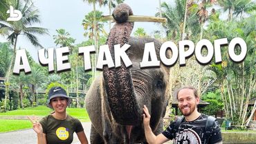 Самая большая трата на Бали. Парк слонов