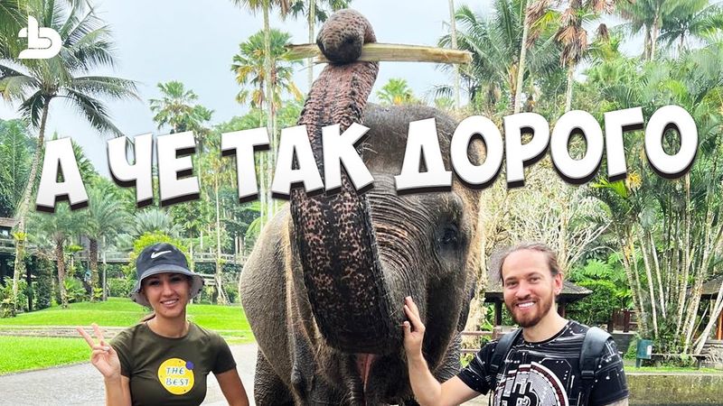 Самая большая трата на Бали. Парк слонов