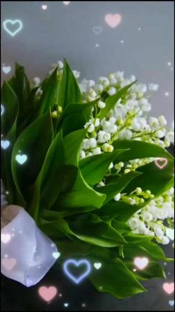 #CapCut #Для тебя Леночка💖💖💖🌹🌹🌹