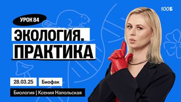Экология. Практика | Биофак 2025 | Урок 84